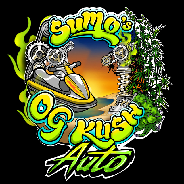 Buy Sumo Seeds Sumos OG Kush Auto FEM