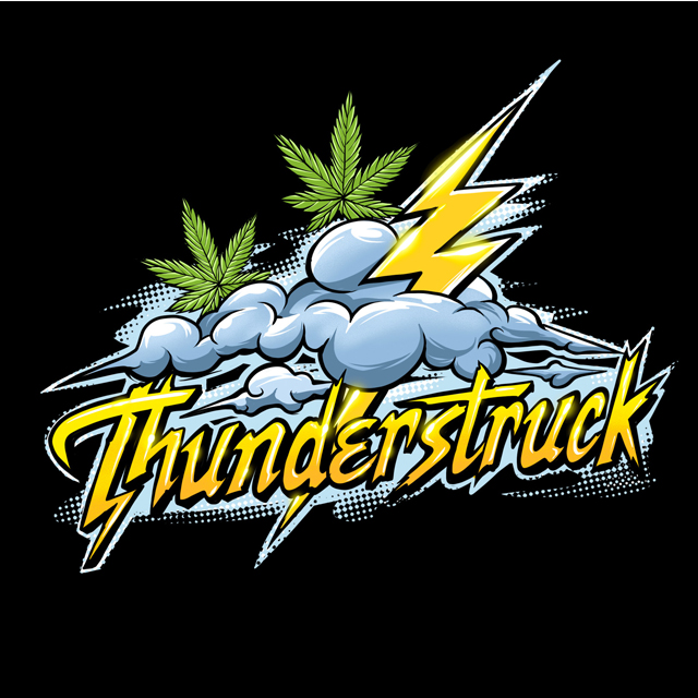 Buy Sumo Seeds Thunderstruck FEM