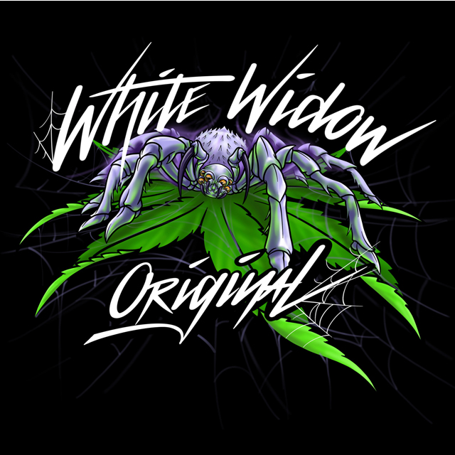 Buy Sumo Seeds White Widow Original FEM
