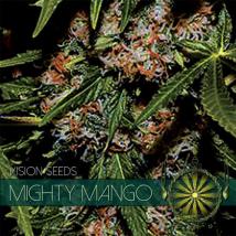 Mighty Mango Bud