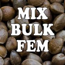 Mix Bulk Fem