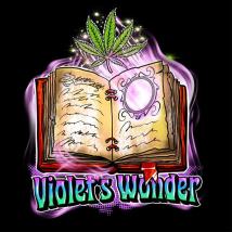 Violets Wonder
