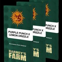 Purple Punch x Lemon Drizzle