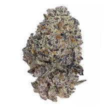 Original Oreoz bulk cannabis seeds