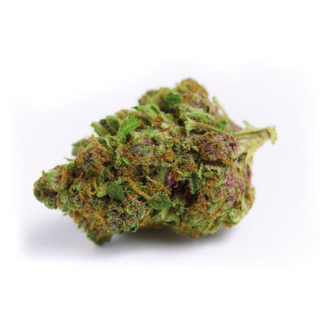 Buy Growers Choice Red Banana Berry Double XL Auto  FEM