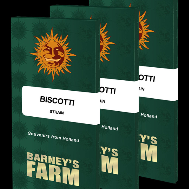 Buy Barneys Farm Seeds Biscotti FEM