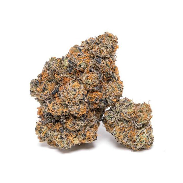 Buy Growers Choice King Louis Garcia FEM