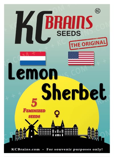 Buy KC Brains Lemon Sherbet FEM