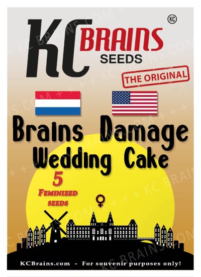 Buy KC Brains Brains Damage Wedding Cake FEM
