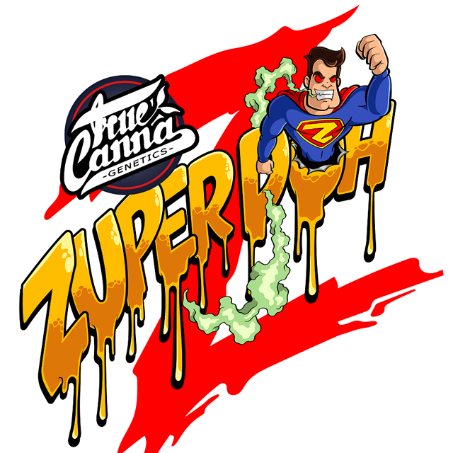 Buy Original Sensible Seeds  Zuper Doh FEM