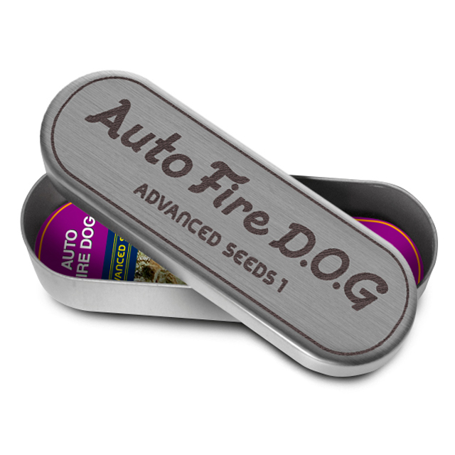 Buy Advanced Seeds Auto Fire DOG FEM