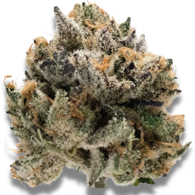 Buy Growers Choice Tropical Cookies FEM