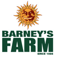 Buy Barneys Farm Seeds Random Free Seed FEM