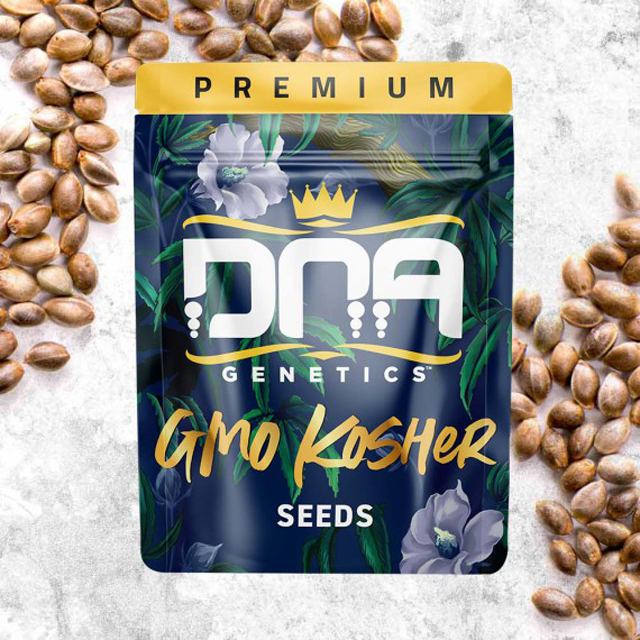 Buy DNA Genetics Seeds GMO Kosher FEM