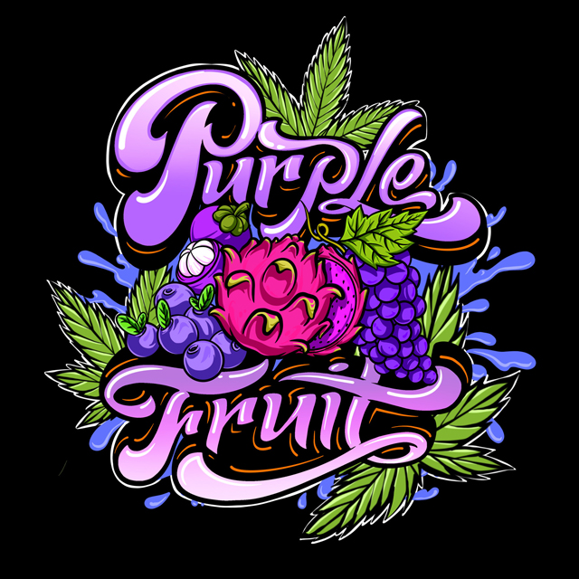 Buy Sumo Seeds Purple Fruit FEM