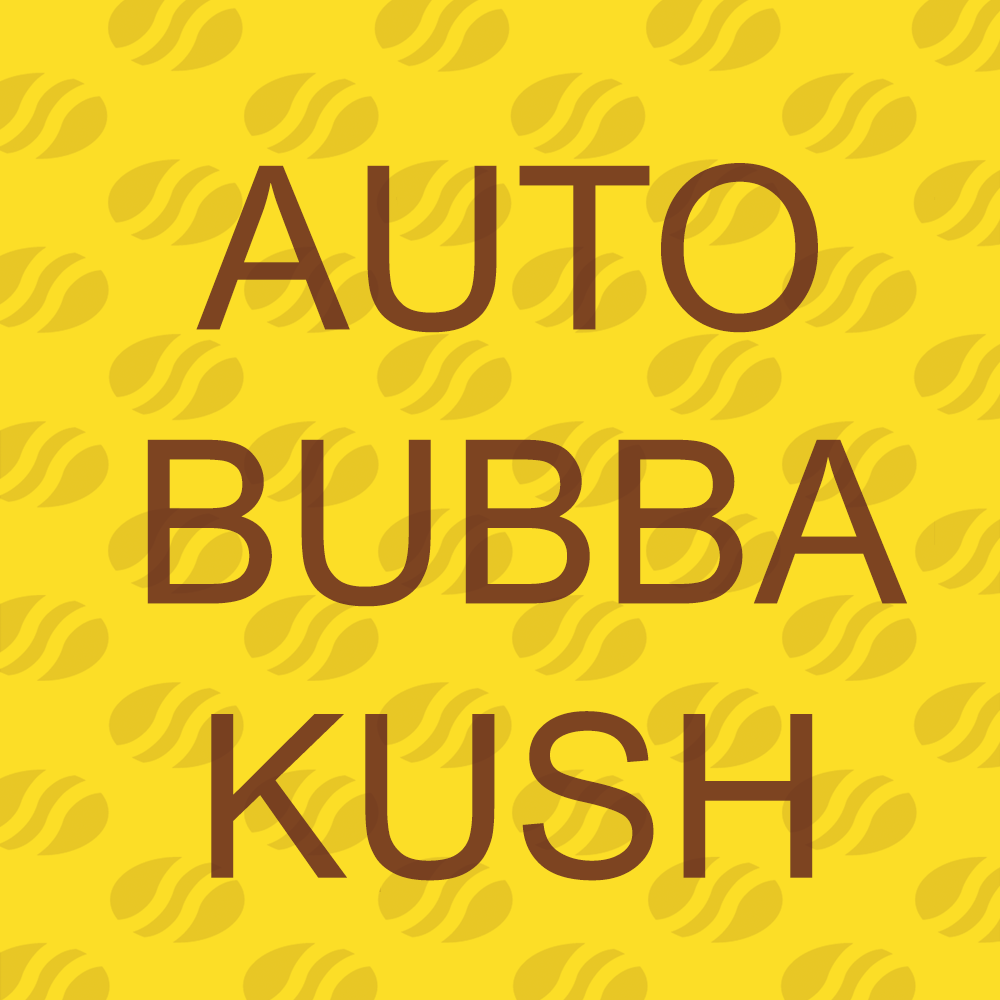 Buy Original Sensible Seeds Auto Bubba Kush FEM