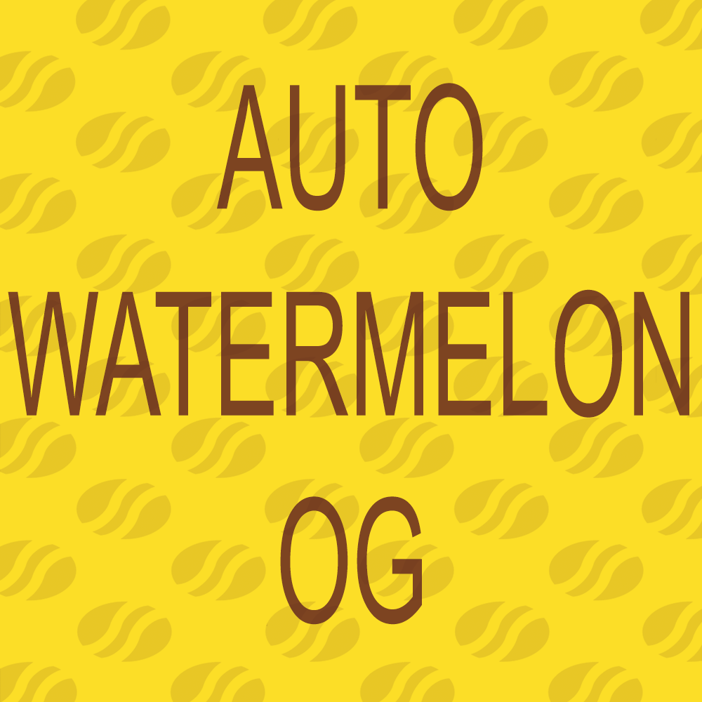 Auto Watermelon OG