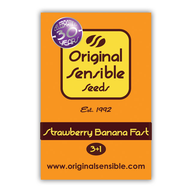 Buy Original Sensible Seeds Strawberry Banana Fast FEM