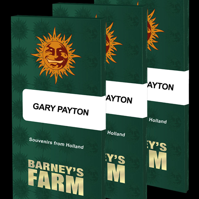 Buy Barneys Farm Seeds Gary Payton FEM