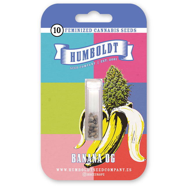 Buy Humboldt Seed Company Banana OG FEM