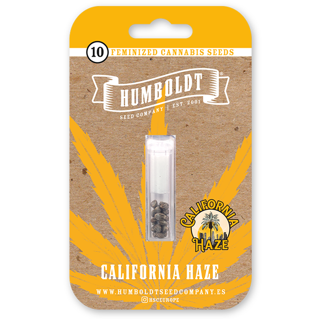 Buy Humboldt Seed Company California Haze FEM