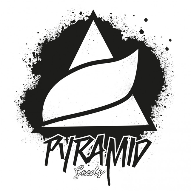 Buy Pyramid Seeds Tutankhamon X Cookies USA FEM