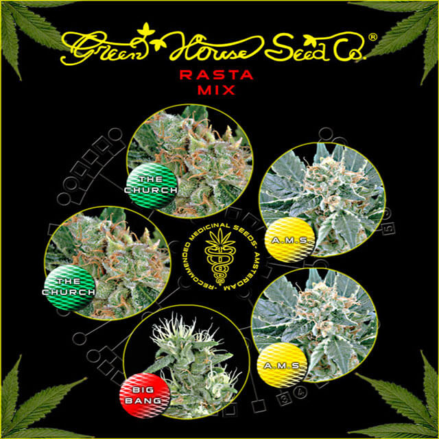 Buy Green House Seeds Rasta Mix FEM